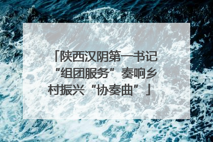 陕西汉阴第一书记“组团服务”奏响乡村振兴“协奏曲”