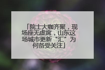 院士大咖齐聚，现场座无虚席，山东这场城市更新“汇”为何备受关注