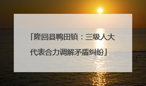 隆回县鸭田镇：三级人大代表合力调解矛盾纠纷