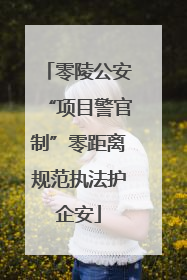 零陵公安“项目警官制”零距离规范执法护企安