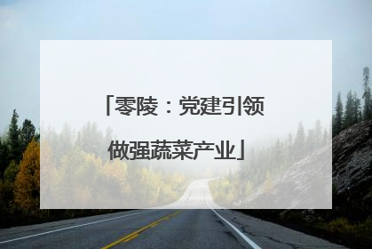零陵：党建引领 做强蔬菜产业