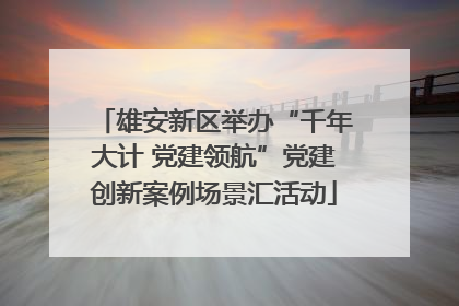 雄安新区举办“千年大计 党建领航”党建创新案例场景汇活动