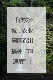 雅安雨城：农业园区跑出播种“加速度”