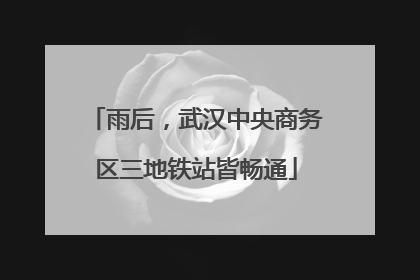 雨后，武汉中央商务区三地铁站皆畅通