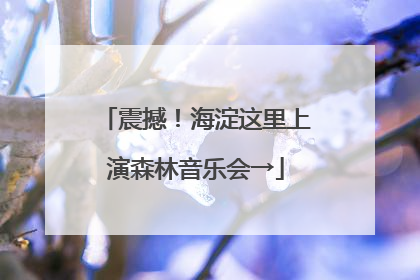 震撼！海淀这里上演森林音乐会→