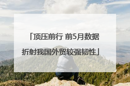 顶压前行 前5月数据折射我国外贸较强韧性