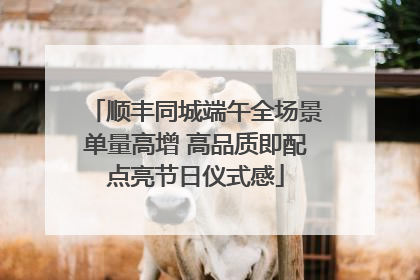 顺丰同城端午全场景单量高增 高品质即配点亮节日仪式感
