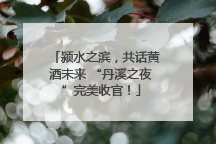 颍水之滨，共话黄酒未来 “丹溪之夜”完美收官！