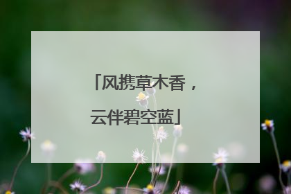 风携草木香，云伴碧空蓝