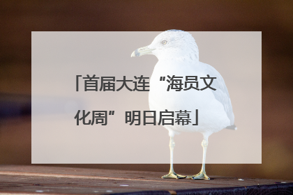 首届大连“海员文化周”明日启幕