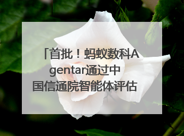 首批！蚂蚁数科Agentar通过中国信通院智能体评估，获最高评级