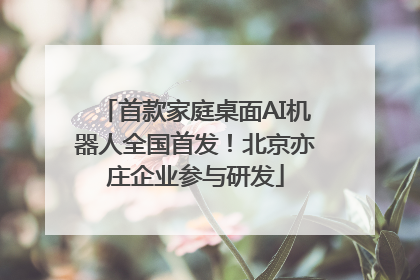 首款家庭桌面AI机器人全国首发！北京亦庄企业参与研发