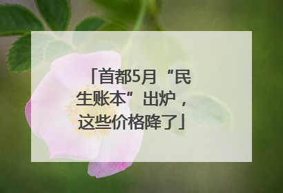 首都5月“民生账本”出炉，这些价格降了