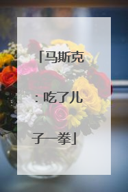 马斯克：吃了儿子一拳