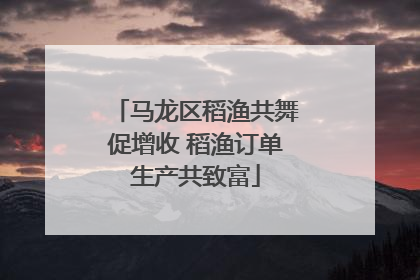 马龙区稻渔共舞促增收 稻渔订单生产共致富