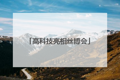 高科技亮相丝博会
