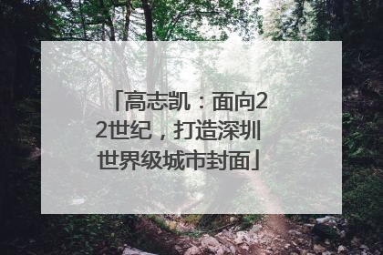 高志凯：面向22世纪，打造深圳世界级城市封面