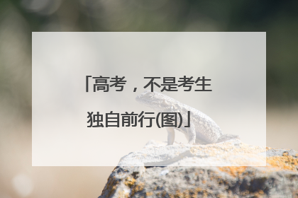 高考，不是考生独自前行(图)