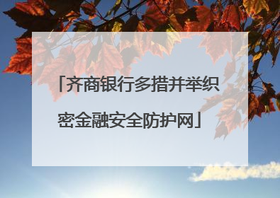 齐商银行多措并举织密金融安全防护网