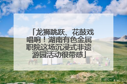 龙狮跳跃、花鼓戏唱响！湖南有色金属职院这场沉浸式非遗游园活动很带感