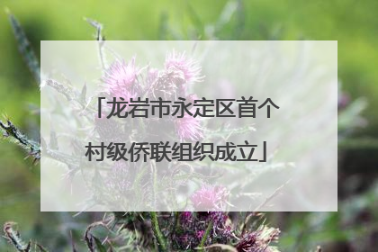 龙岩市永定区首个村级侨联组织成立