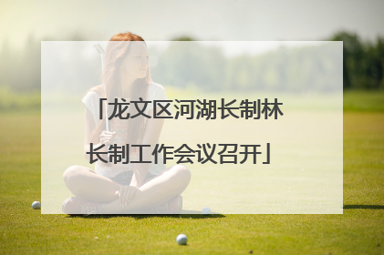 龙文区河湖长制林长制工作会议召开