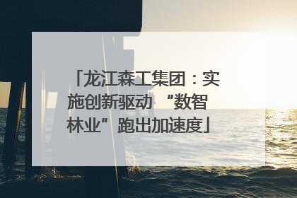 龙江森工集团：实施创新驱动 “数智林业”跑出加速度