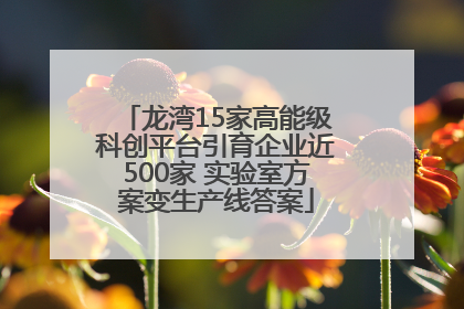 龙湾15家高能级科创平台引育企业近500家 实验室方案变生产线答案
