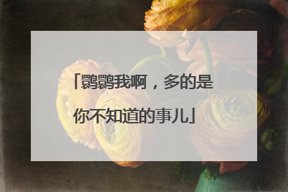 鹮鹮我啊，多的是你不知道的事儿