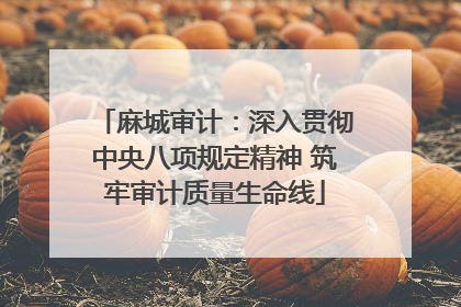 麻城审计：深入贯彻中央八项规定精神 筑牢审计质量生命线