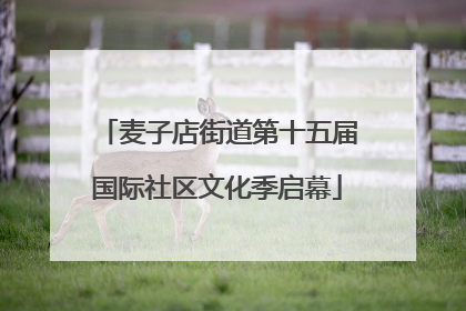 麦子店街道第十五届国际社区文化季启幕