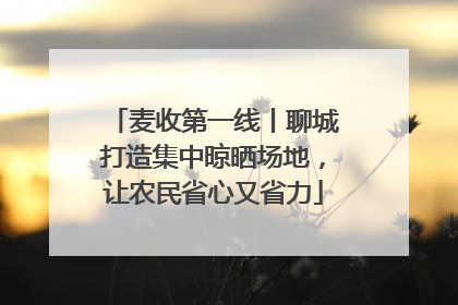麦收第一线丨聊城打造集中晾晒场地，让农民省心又省力