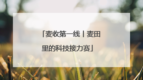 麦收第一线丨麦田里的科技接力赛