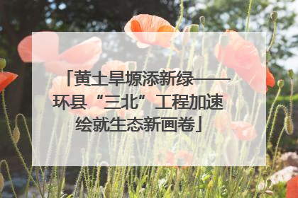 黄土旱塬添新绿——环县“三北”工程加速绘就生态新画卷