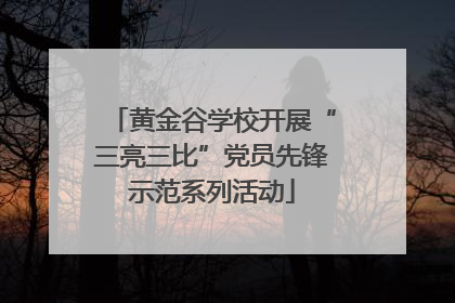 黄金谷学校开展“三亮三比”党员先锋示范系列活动