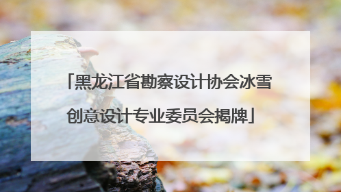 黑龙江省勘察设计协会冰雪创意设计专业委员会揭牌