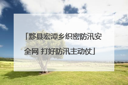 黟县宏潭乡织密防汛安全网 打好防汛主动仗