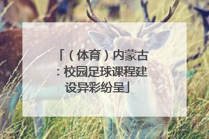 （体育）内蒙古：校园足球课程建设异彩纷呈