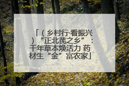 （乡村行·看振兴）“正北芪之乡”：千年草本焕活力 药材生“金”富农家