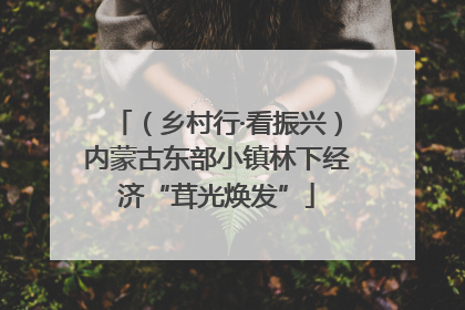 （乡村行·看振兴）内蒙古东部小镇林下经济“茸光焕发”