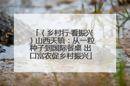 （乡村行·看振兴）山西天镇：从一粒种子到国际餐桌 出口富农促乡村振兴