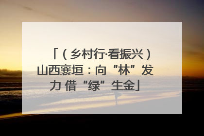 （乡村行·看振兴）山西襄垣：向“林”发力 借“绿”生金