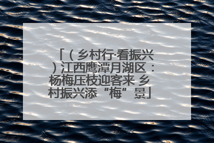 (乡村行·看振兴)江西鹰潭月湖区:杨梅压枝迎客来 乡村振兴添“梅”景
