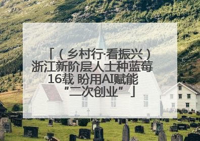 （乡村行·看振兴）浙江新阶层人士种蓝莓16载 盼用AI赋能“二次创业”