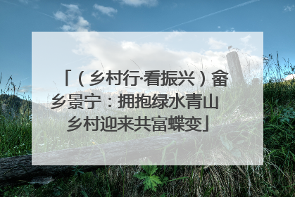 （乡村行·看振兴）畲乡景宁：拥抱绿水青山 乡村迎来共富蝶变