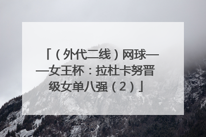 （外代二线）网球——女王杯：拉杜卡努晋级女单八强（2）