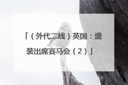 （外代二线）英国：盛装出席赛马会（2）
