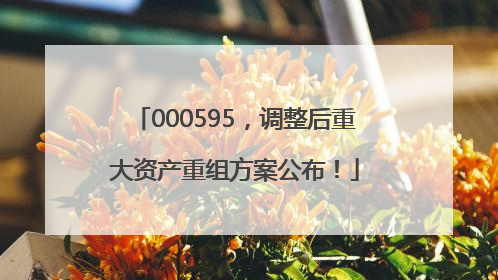 000595，调整后重大资产重组方案公布！