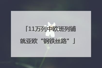 11万列中欧班列铺就亚欧“钢铁丝路”
