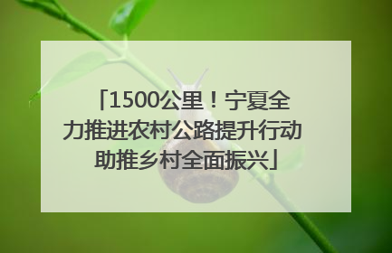 1500公里！宁夏全力推进农村公路提升行动 助推乡村全面振兴
